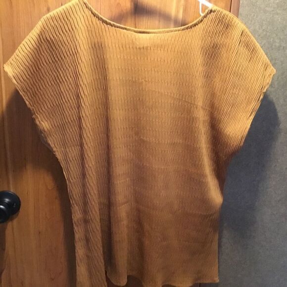 NWOT Copy Cats Brand Ginger Color S/S Blouse Womens Size XL - Picture 4 of 8